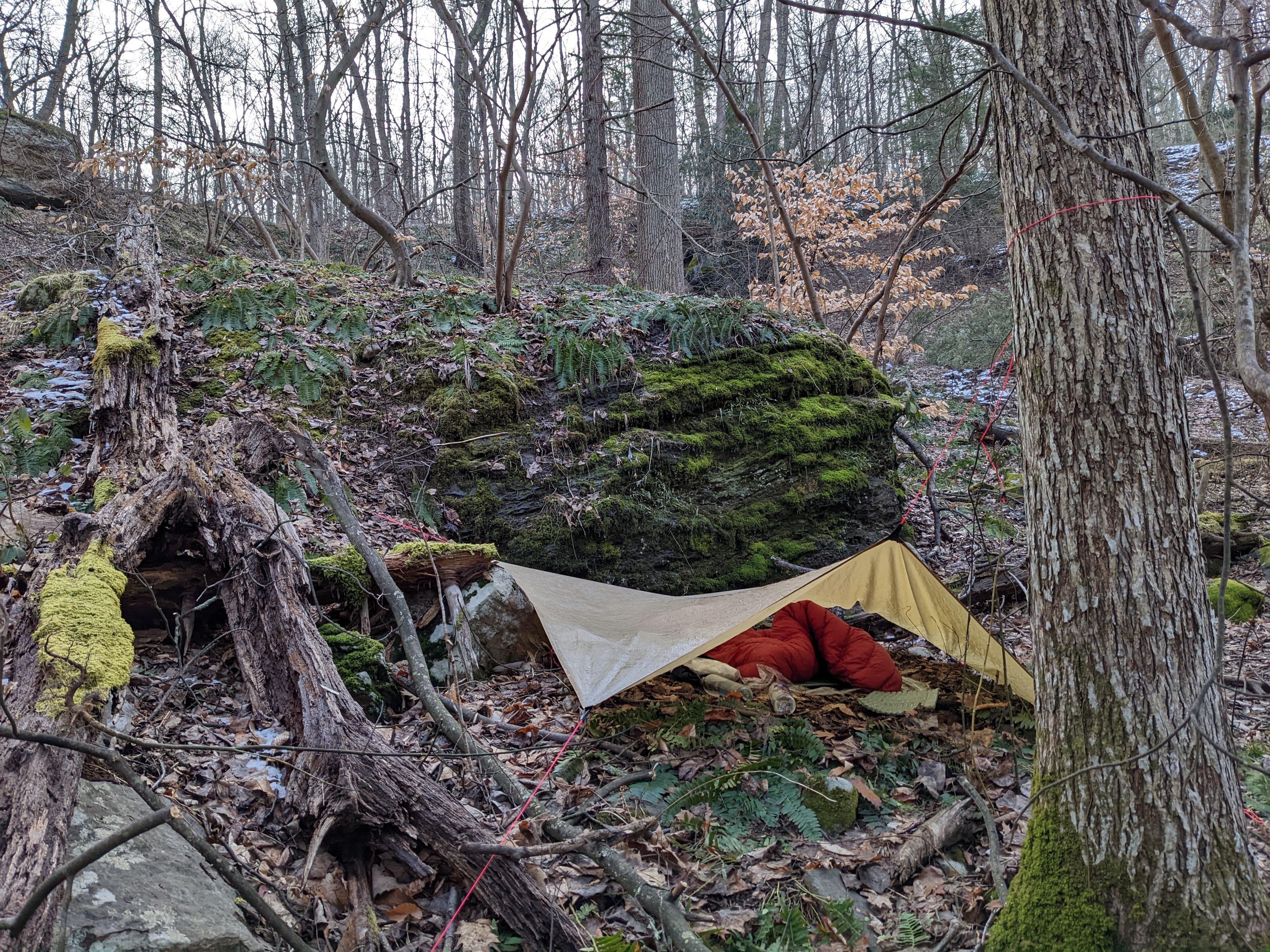 Backpacking Picture